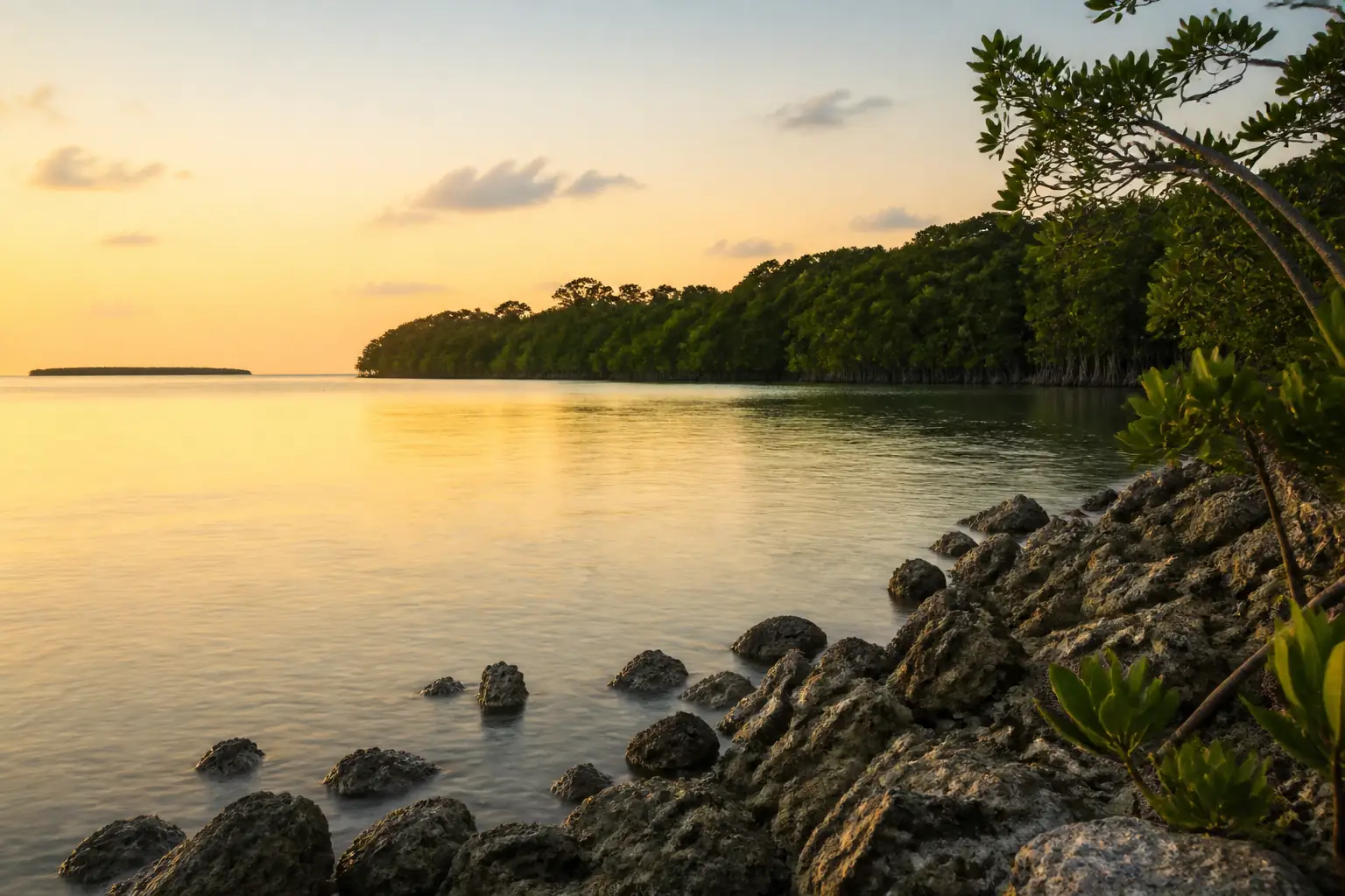 Florida water at dawn